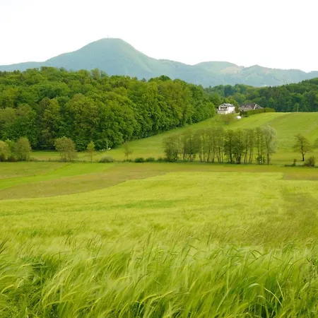 Sofia Haven In Nature With Pool Apartamento Slovenska Bistrica