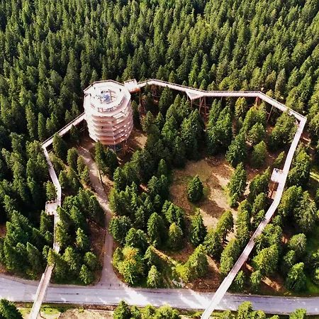 Sofia Haven In Nature With Pool