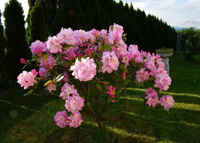 Sofia Haven In Nature With Pool
