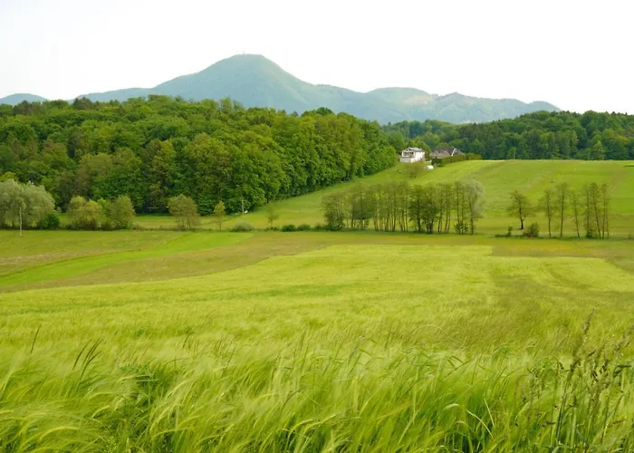 Sofia Haven In Nature With Pool Διαμέρισμα Slovenska Bistrica